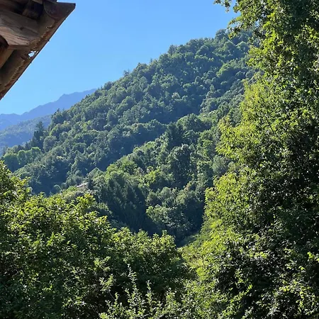 Ca Dal Vindu